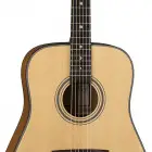 Art Recorder Dreadnought - All Solid Wood