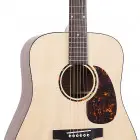 Recording King RD-G6 Recording King G6 Solid Top Dreadnought