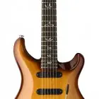 Paul Reed Smith 25th Anniversary 305