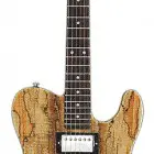 ASAT Classic Bluesboy W/ Spalted Maple Top