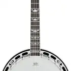 FB-58 Banjo