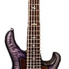 Paul Reed Smith Private Stock 5