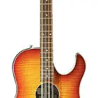 Acoustic Look 12 String Bass