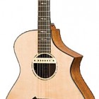 Breedlove Performance Fusion Special Edition