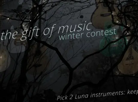 Winter Contest at Luna Guitars