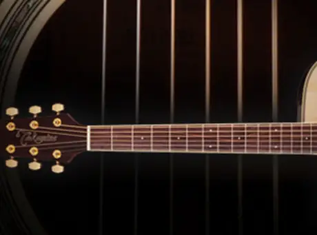 Takamine G Series Updates