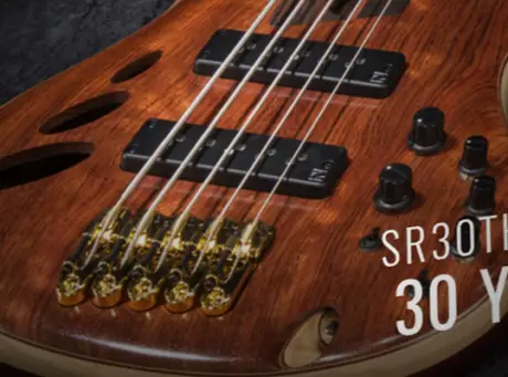 NAMM 2017: Ibanez Electric Basses