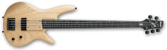 Ibanez GWB205E