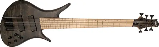Legator Helio Multi Scale Bass 300-PRO X Series 6-String