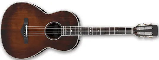 Ibanez AVN10