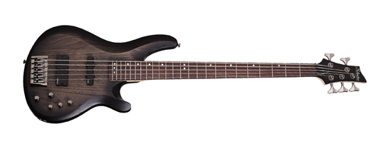 Schecter C-5 Custom