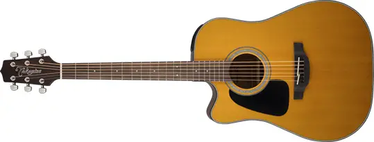 Takamine GD30CELH