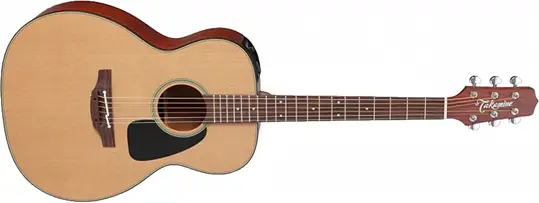 Takamine P1M