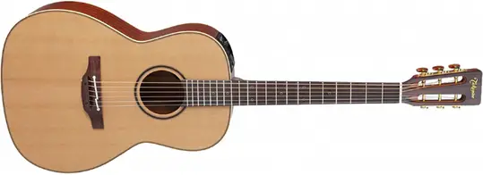 Takamine P3FCN