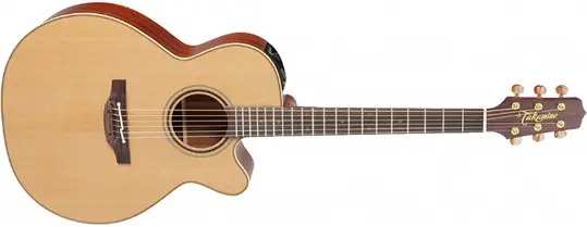 Takamine P3NC