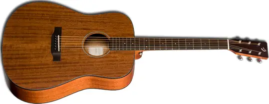 Breedlove D/MMe