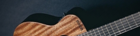 Ed Sheeran LX1E Signature and Summer NAMM 2013 Updates