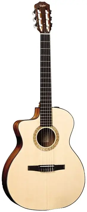NS24ce-G-L Left Handed by Taylor