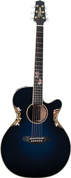 2011 Limited Edition by Takamine