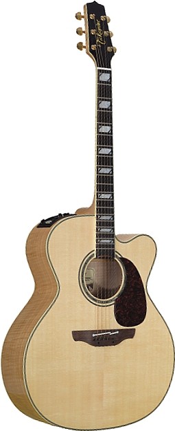 TF250SMC by Takamine