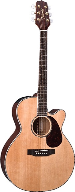 EG540DLX by Takamine