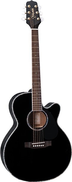 EG541DLX by Takamine