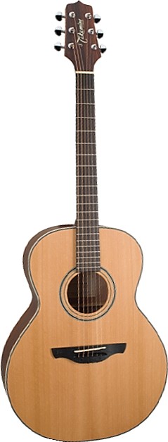 GS430S by Takamine