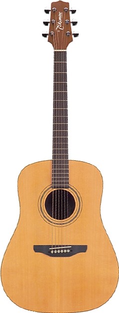 GS330S by Takamine