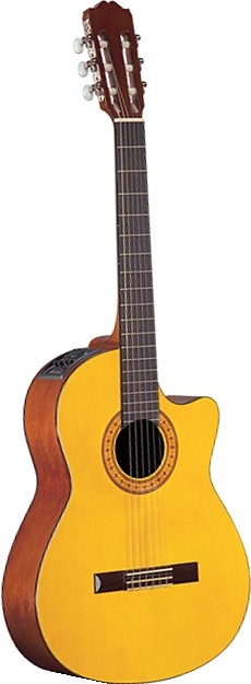 EG124C by Takamine