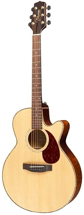 EG455SC by Takamine