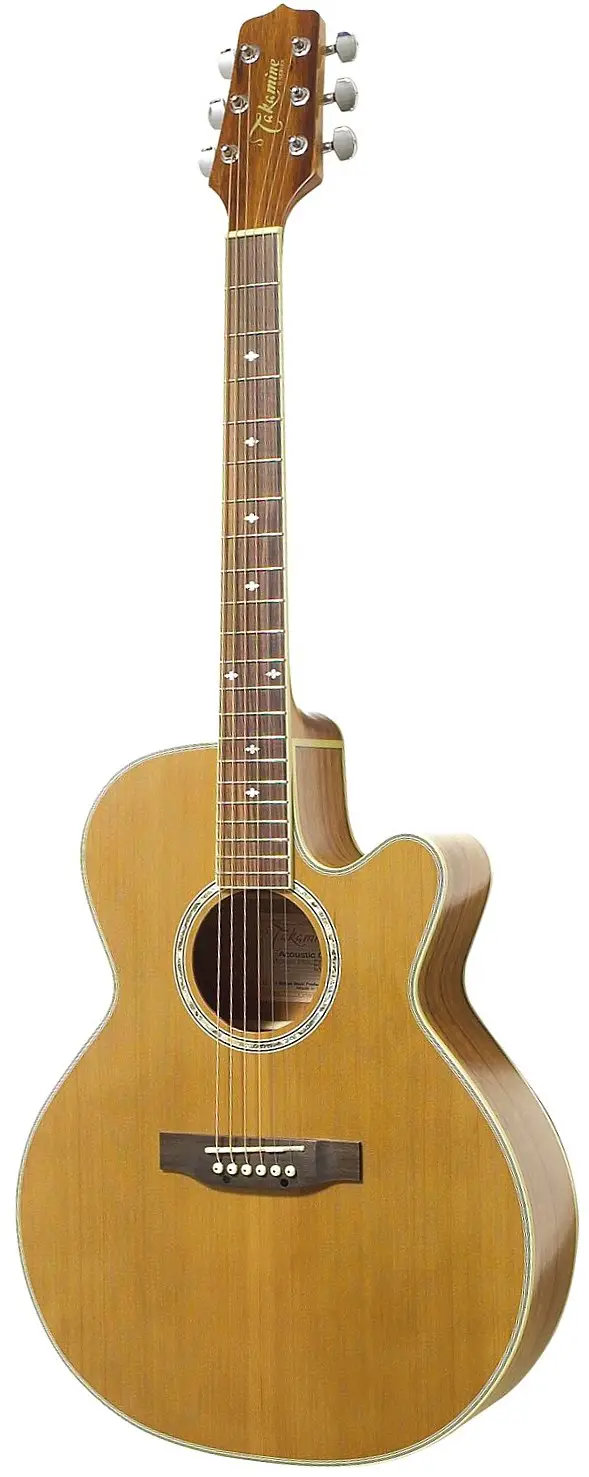 EG544SC by Takamine