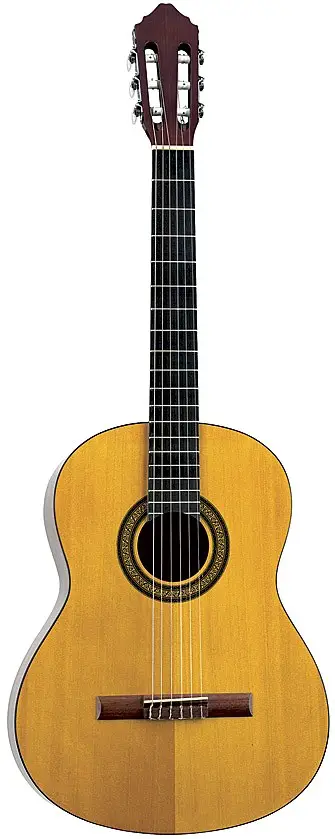 C20 by Jasmine By Takamine