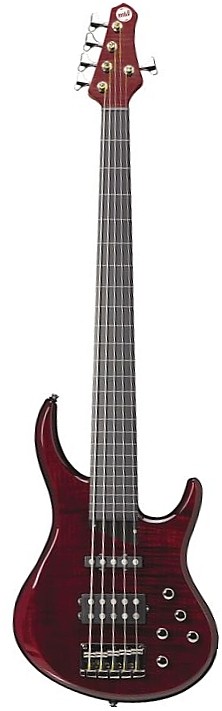 The Heir 5 Fretless by MTD Kingston