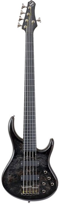 The ZX 5 Fretless by MTD Kingston