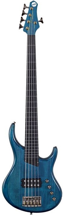 The Artist 5 Fretless by MTD Kingston