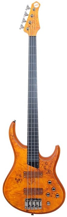 KZ 4 Fretless by MTD Kingston