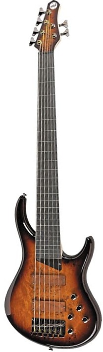 KZ 6 Fretless by MTD Kingston