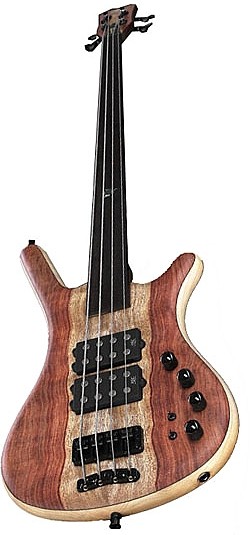 Corvette $$ SE Session Walldorf Germany 4 Fretless by Warwick