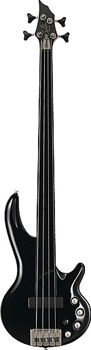 Curbow4 Fretless by Cort