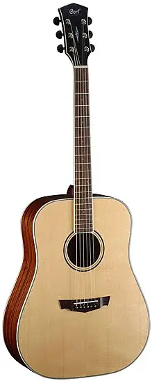 PW310M by Parkwood Guitars