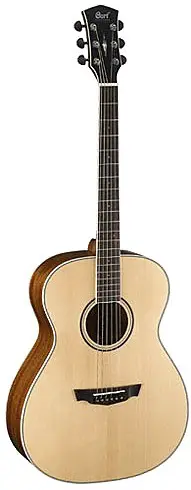 PW320M by Parkwood Guitars