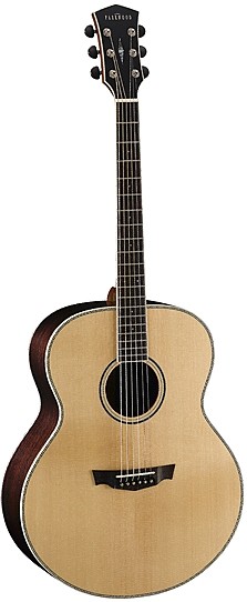 PW540 by Parkwood Guitars