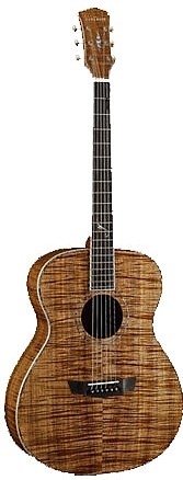 PW-LE061 by Parkwood Guitars