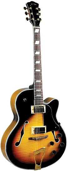 Johnson hollow body electric guitar hotsell