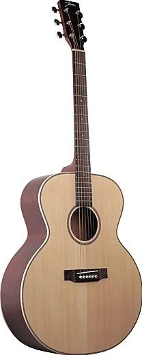 JJ-06 by Johnson Guitars