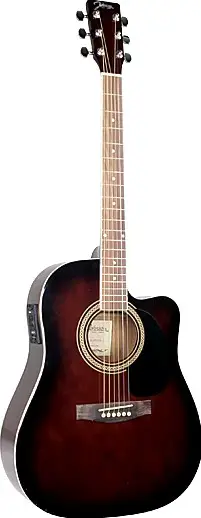 JG-620-CE by Johnson Guitars