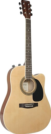 JG-650-T by Johnson Guitars