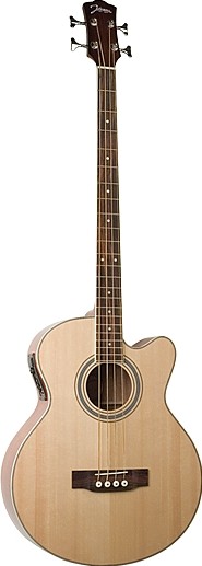JB-24 by Johnson Guitars