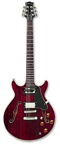 Blues Master by Silvertone Guitar