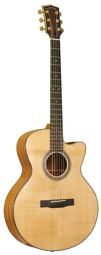 GBG Baritone Guitar by Goldtone